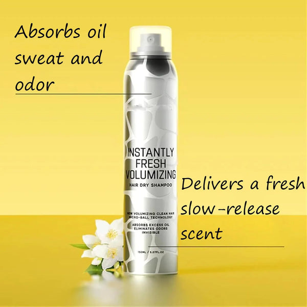 Hair Dry Spray Shampoo